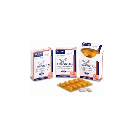 Fortiflex Compresse 375 Mg Fortiflex Compresse 375 Mg