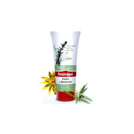 Reumagel Pferdesalbe Gel 200ml Reumagel Pferdesalbe Gel 200ml