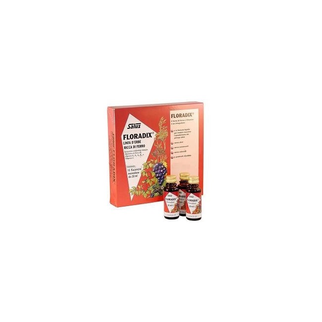 Floradix Ferro 10 Flaconcini 20 Ml