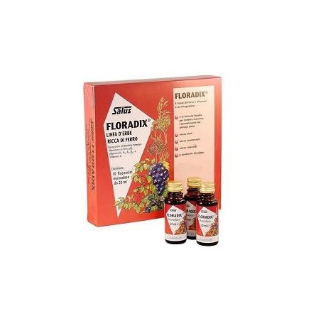 Floradix Ferro 10 Flaconcini 20 Ml
