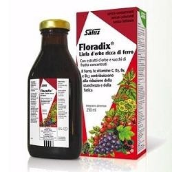 Floradix Ferro 500ml
