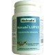 Melcalin Lupes 56 Capsule