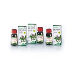 Specchiasol Gemmosol 36 Al Ribes Nero 50ml
