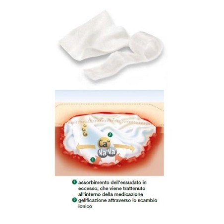 Suprasorb A Compressa 10x10cm 10 Pezzi Suprasorb A Compressa 10x10cm 10 Pezzi