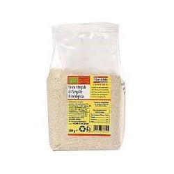Farina Integrale Segale 500g