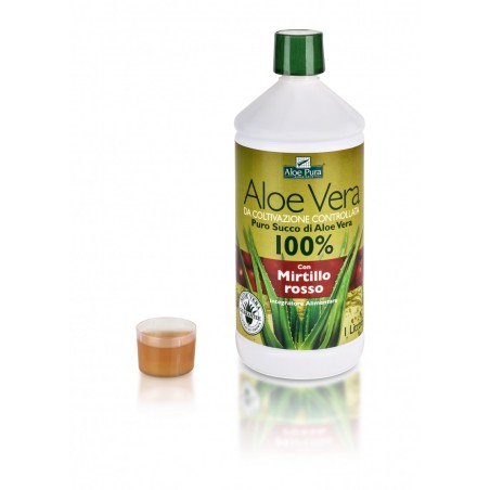Aloe Vera Mirtillo 1 Litro Aloe Vera Mirtillo 1 Litro