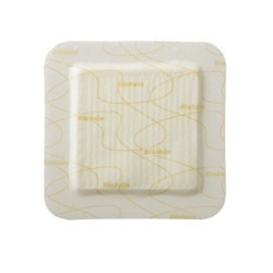 Biatain Medicazione Schiuma10x10 10 Pezzi