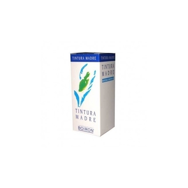 Boiron Ribes Nigrum Tintura Madre 60ml