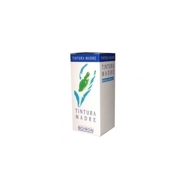 Boiron Foeniculum Vulgare Tintura Madre 60ml Boiron Foeniculum Vulgare Tintura Madre 60ml