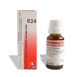 Reckeweg R24 22ml Gocce