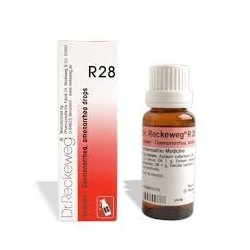 Reckeweg R28 22ml Gocce