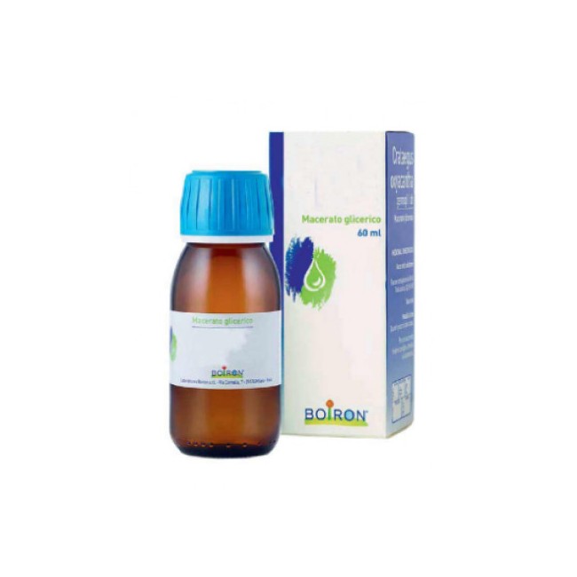 Boiron Rosmarinus Officinalis 60ml Macerato Glicerico