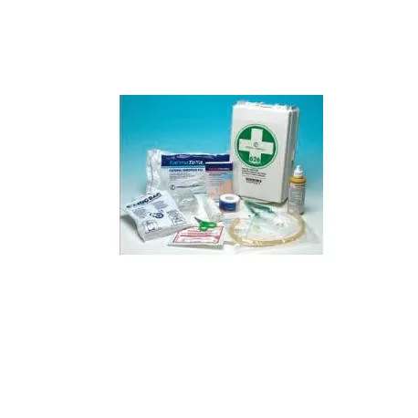 Zeller Present Scatola dei medicinali Kit di pronto soccorso 22,4x17x16 cm  - acquista su