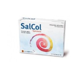 Avicenna Natural Institute Salcol 12 Bustine