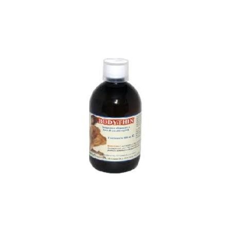 Bodythin Liquido 500ml