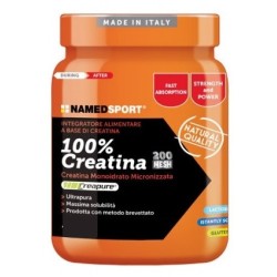 100% Creatine Polvere 500g