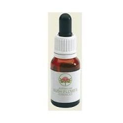 Fiori Australiani Bush Bluebell Gocce 15ml