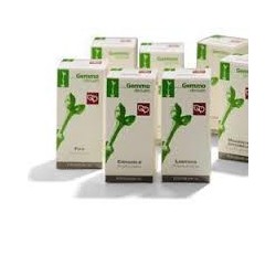 Cedrus Libani 100ml Macerato Glicerico