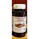 Cordyceps Gheos 90 Capsule