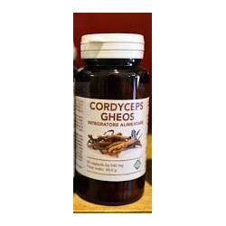Cordyceps Gheos 90 Capsule