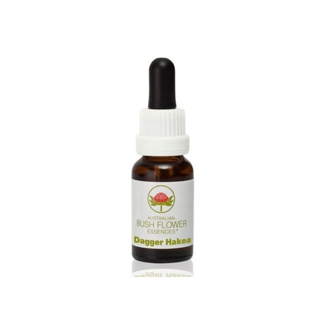 Dagger Hakea Australian 15ml Dagger Hakea Australian 15ml
