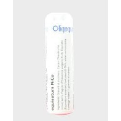 Equisetum Ni/Co 100 Globuli