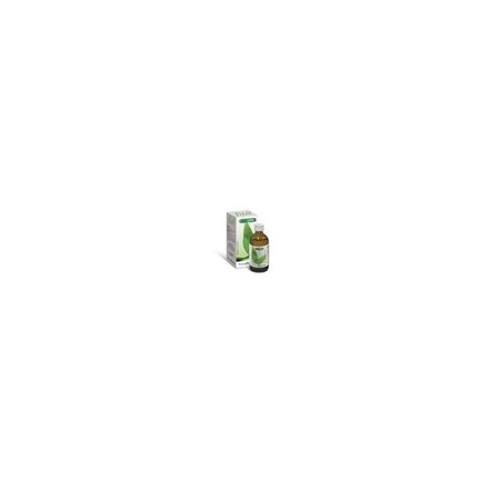 Fitodre 6 50ml Gocce
