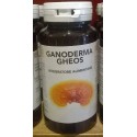 Ganoderma Gheos 90 Capsule Ganoderma Gheos 90 Capsule