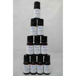 Gaulteria Olio Essenziale 10ml