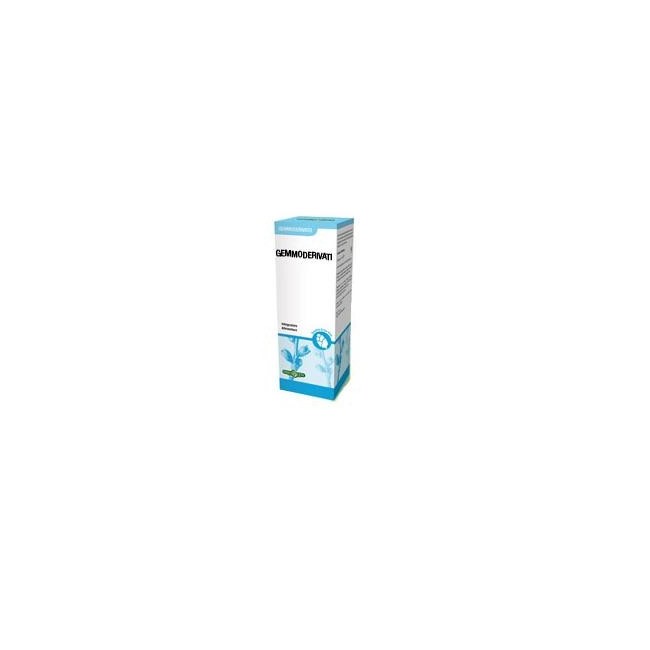 Gemmoderivato Betulla Linfa 50 Ml