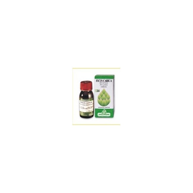 Gemmosol 24 Fico 50ml