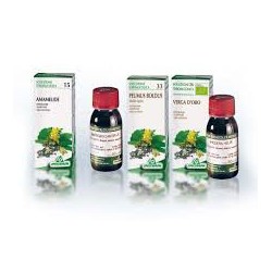Ginkgo Biloba 64 50ml Tintura Madre
