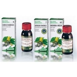 Ginseng 49 50ml Tintura Madre