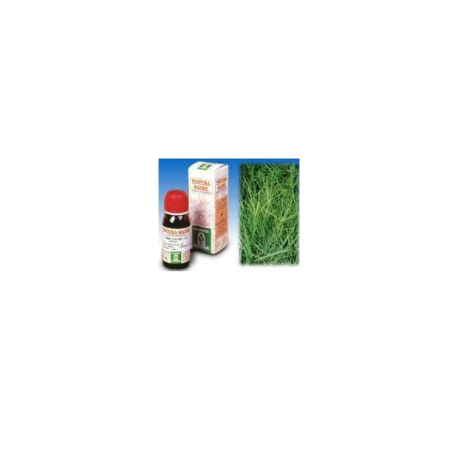 Gramigna 37 50ml Tintura Madre Gramigna 37 50ml Tintura Madre