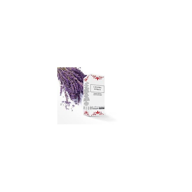 Lavanda 30ml Gocce Lindas