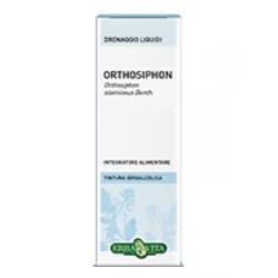 Erbavita Tuntire Idroalcoliche Ortosiphon 50ml