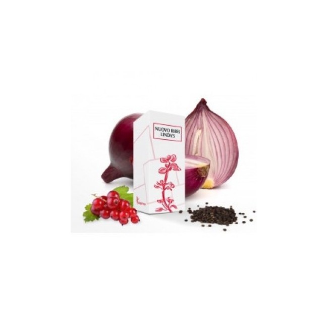 Nuovo Ribes Lindas 50ml Gocce