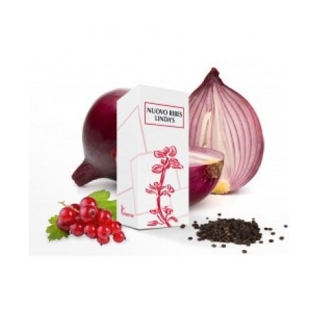 Nuovo Ribes Lindas 50ml Gocce