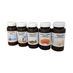 Maitake Gheos 90 Capsule