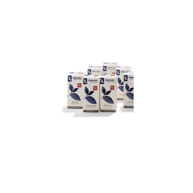Fitomedical Zenzero 50ml Tintura Madre Fitomedical Zenzero 50ml Tintura Madre