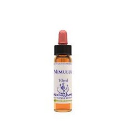 Natur Mimulus Essenza 10ml