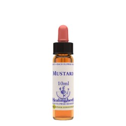 Natur Mustard Essenza 10ml