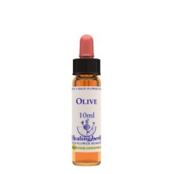 Natur Olive Essenza 10ml