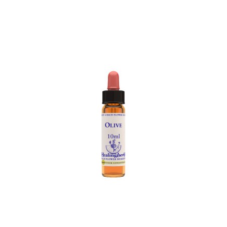 Natur Olive Essenza 10ml