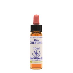 Natur Red Chestnut Essenza 10ml