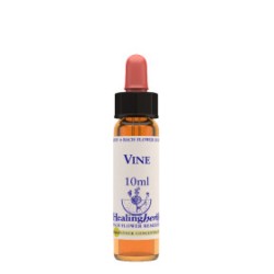 Vine Essenza 10ml