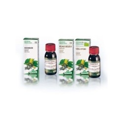 Specchiasol Salice 74 50ml Tintura Madre