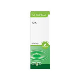 Erba Vita Tuja Olio Essenziale 10ml