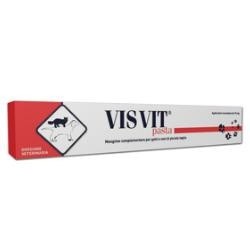 Visvit Pasta Orale Siringa 15g