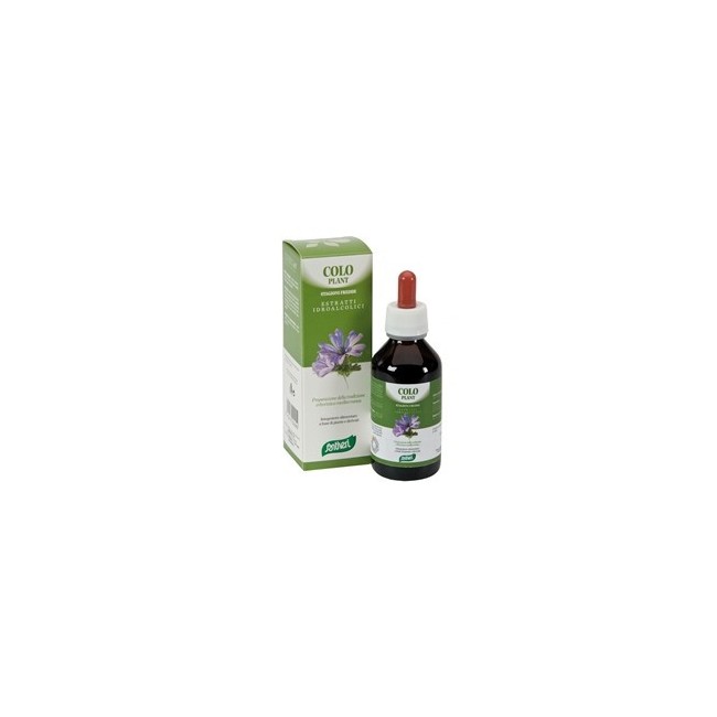 Zefirus Colo Plant Caldo Santiveri